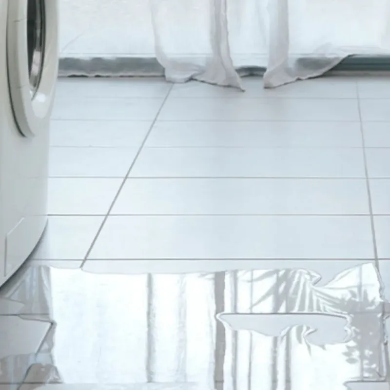 Appliance Leak Cleanup in Menomonie, WI