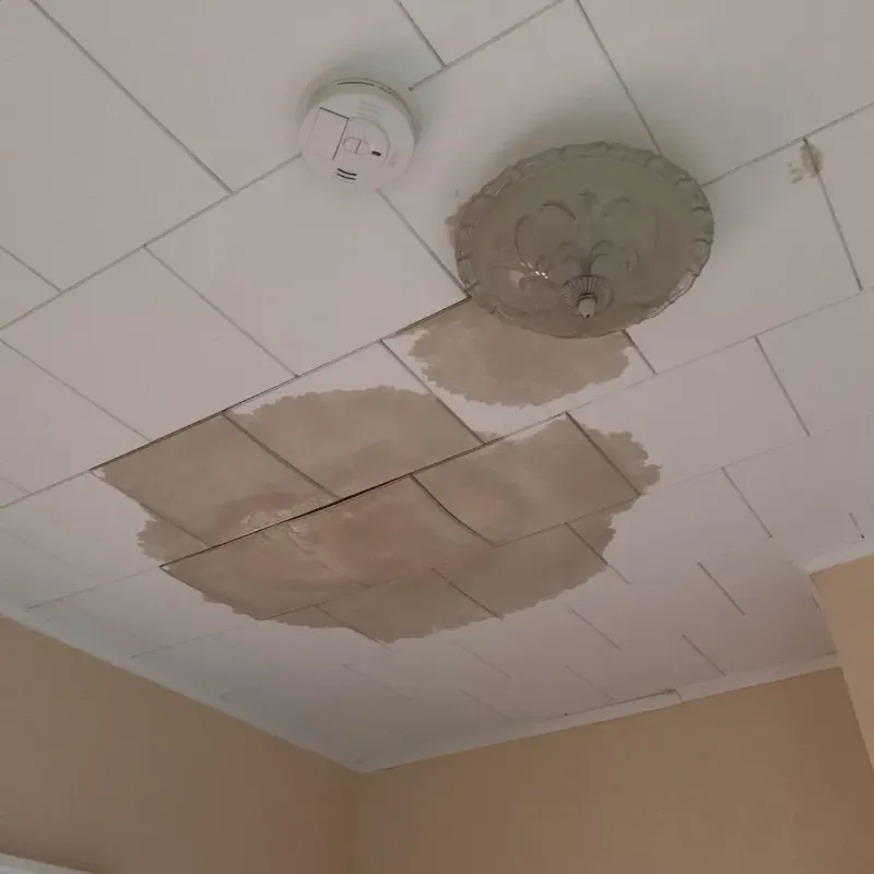 Ceiling Water Damage Repair in Menomonie, WI