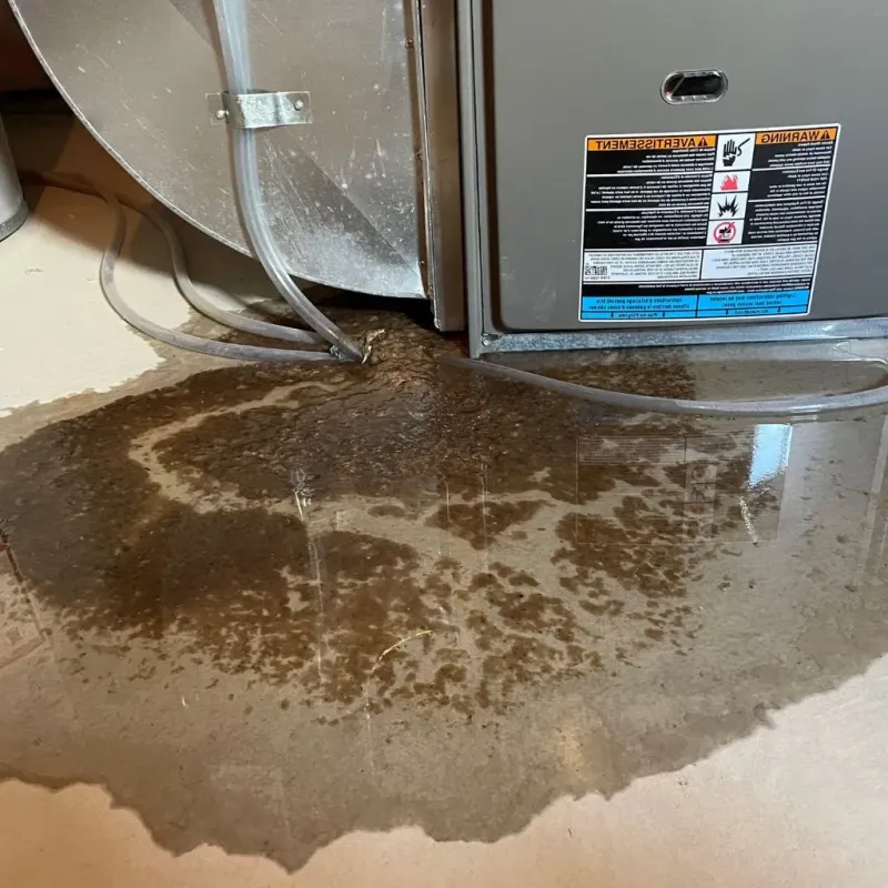Pipe Burst and Leak Restoration in Menomonie, WI