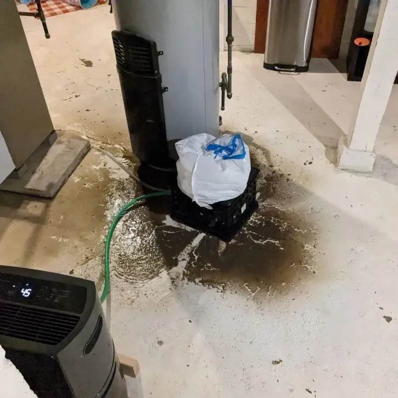 Sewage Backup Cleanup Service in Menomonie, WI